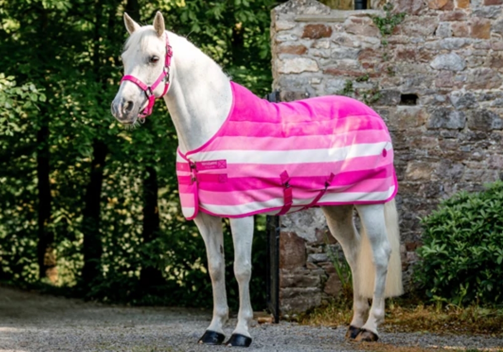 Horseware Pony